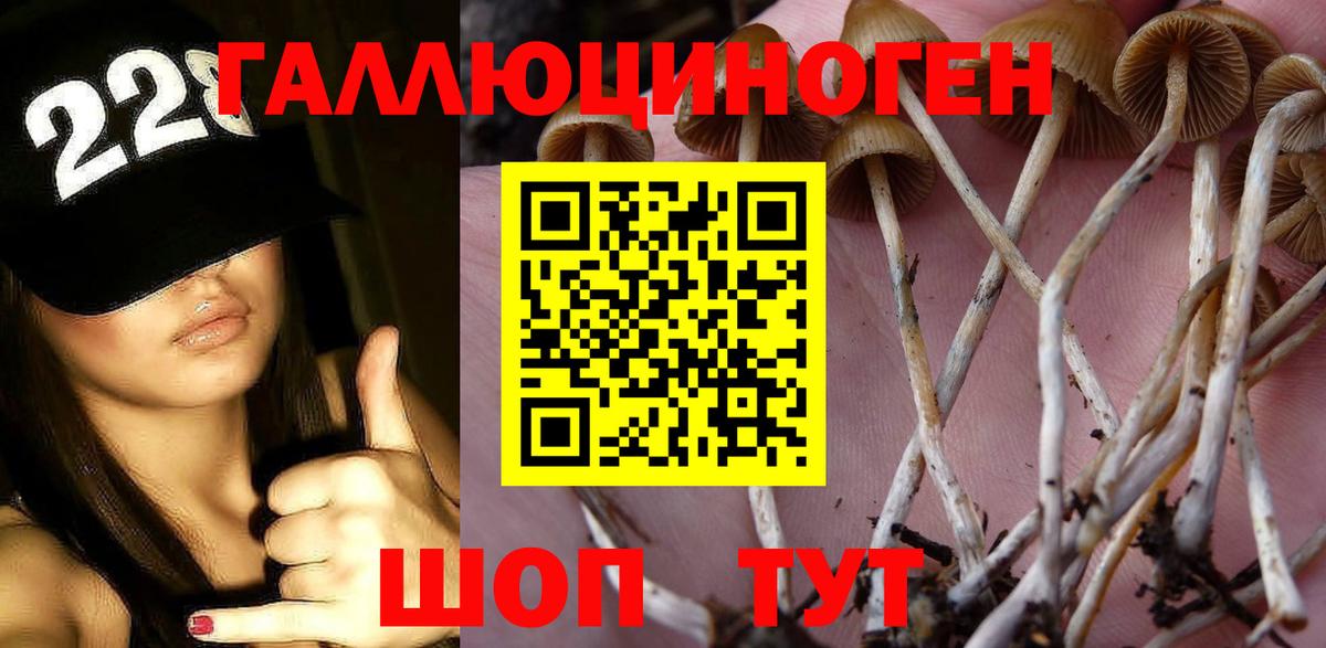 Псилоцибиновые грибы ЛСД Саки