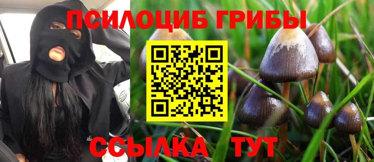Псилоцибиновые грибы MAGIC MUSHROOMS  закладка  Саки  Галлюциногенные грибы GOLDEN TEACHER  Вход с VPN 